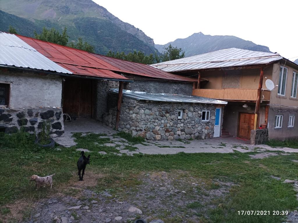 Maizer Qaldani Guesthouse room 4